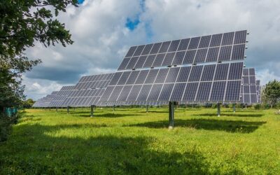 Sunvigo ein Beispiel für die Solarbranche
